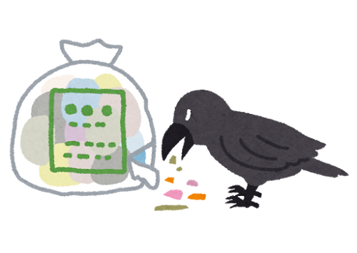 ゴミを漁るカラス Corbeaux fouillant les poubelles