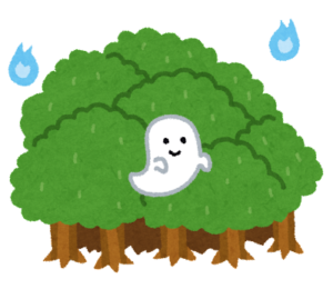 青木ヶ原 Aokigahara