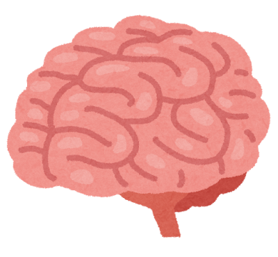 脳 Cerveau