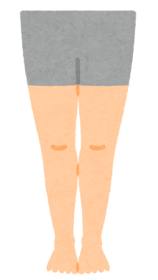 脚 Jambe, patte