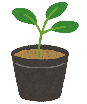 苗 Plant, semis, jeune pousse