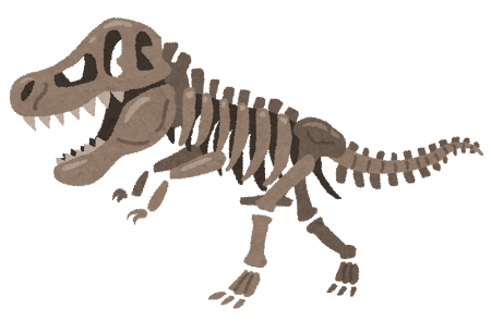ティラノサウルスの骨格 Squelette de tyrannosaure