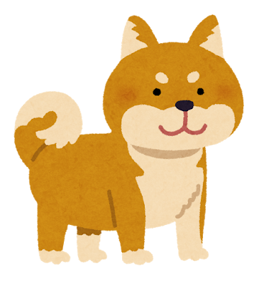 柴犬 Shiba inu