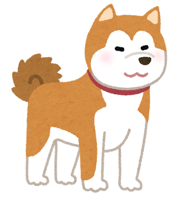 秋田犬 Akita inu