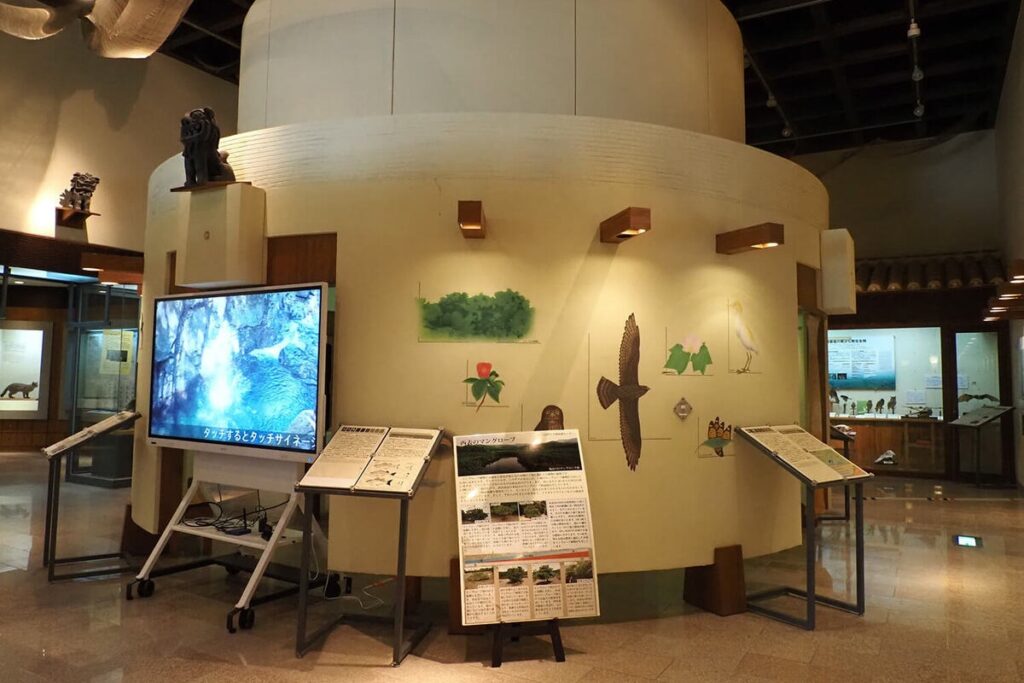 Centre de conservation de la faune sauvage d’Iriomote