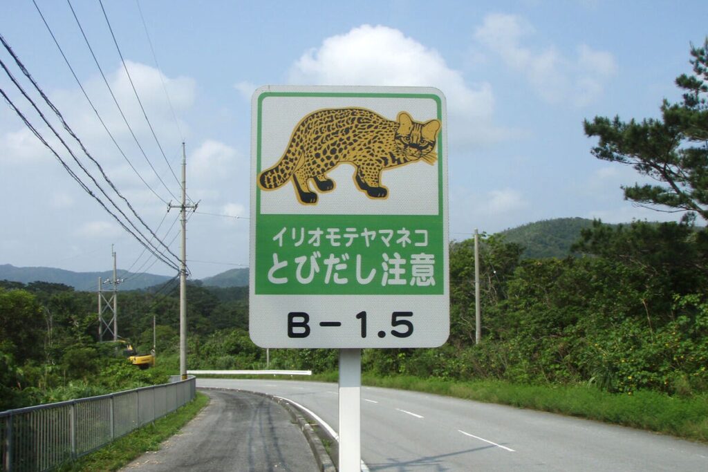 Panneau de signalisation de la présence du Chat d'Iriomote