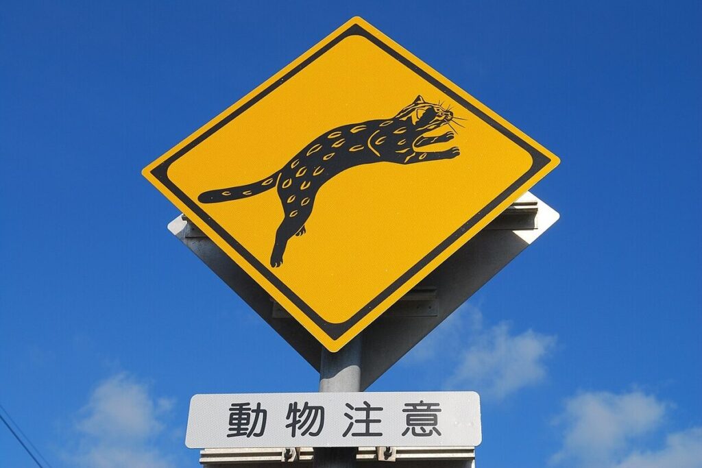 Panneau représentant un Chat d'Iriomote