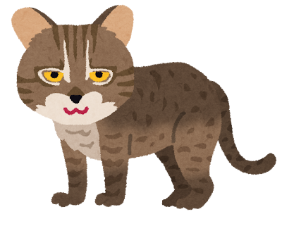 イリオモテヤマネコ Chat d'Iriomote
