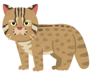 ツシマヤマネコ Chat de Tsushima