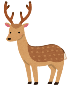 ニホンジカ Cerf sika
