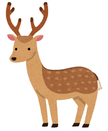 ニホンジカ Cerf sika