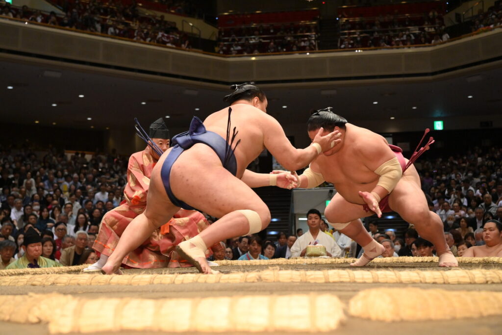 Sumo